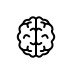 brain