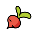 root vegetable