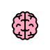 brain